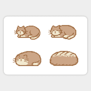 Cat Bread Loaf Evolution Magnet